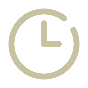 Icone relógio